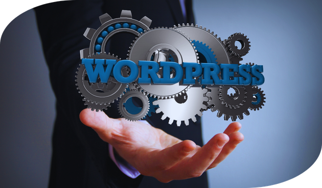 WordPress Development Services in Hyderabad